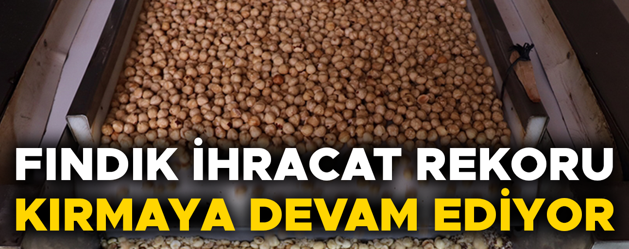 YÜZ BİNLERCE TON FINDIK İHRAÇ EDİLDİ