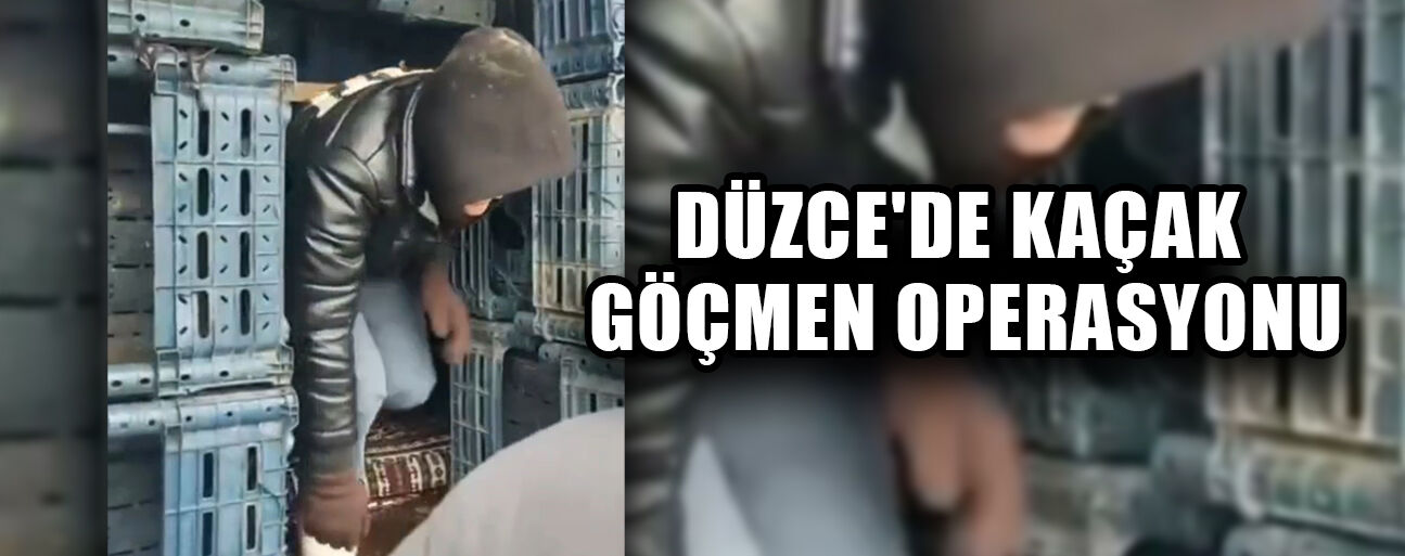 7 DÜZENSİZ GÖÇMEN YAKALANDI