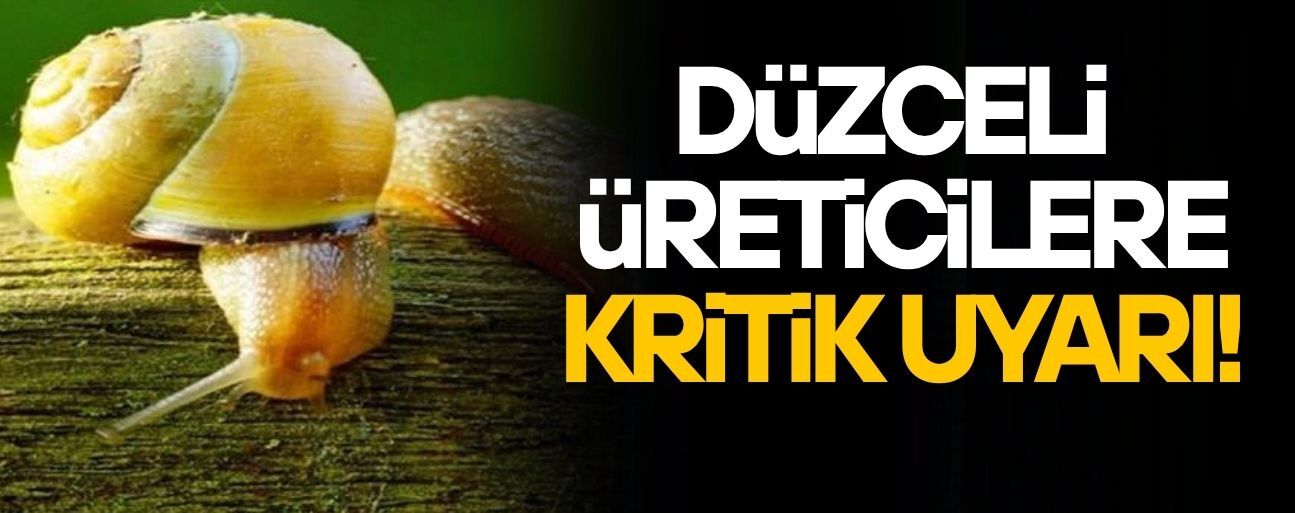 SADECE İLAÇLAMA YETMİYOR, ZARARI BÜYÜK