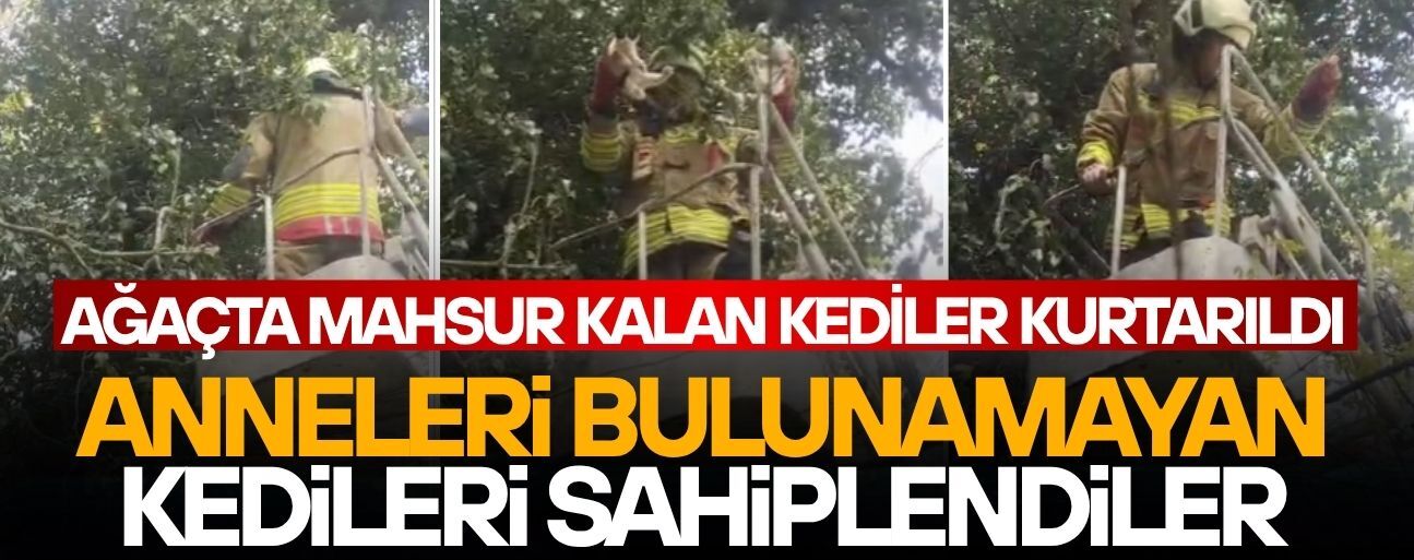 VATANDAŞLARIN DUYARLILIĞI TAKDİR TOPLADI