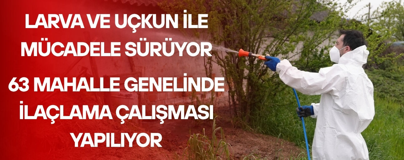 ASYA KAPLAN SİVRİSİNEĞİNE DİKKAT!