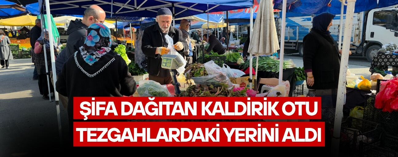 DÜZCE’DE ORMANLARDAN TOPLANAN DOĞAL LEZZETE YOĞUN İLGİ