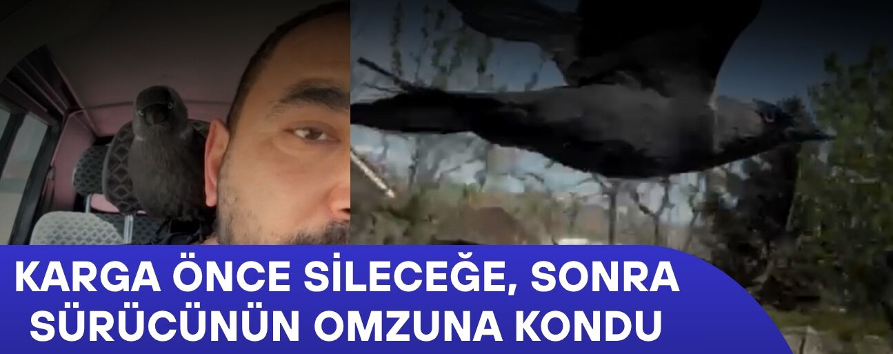 DÜZCE’DE KARGA İLE YOLCULUK KAMERADA