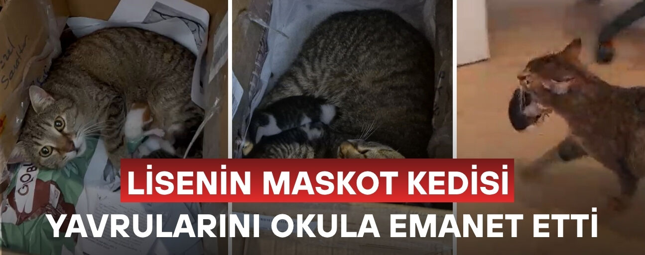 "YAŞADIĞIMIZ BU ZOR GÜNLERDE İÇİMİZE AZ DA OLSA BİR UMUT IŞIĞI SERPİLDİ"