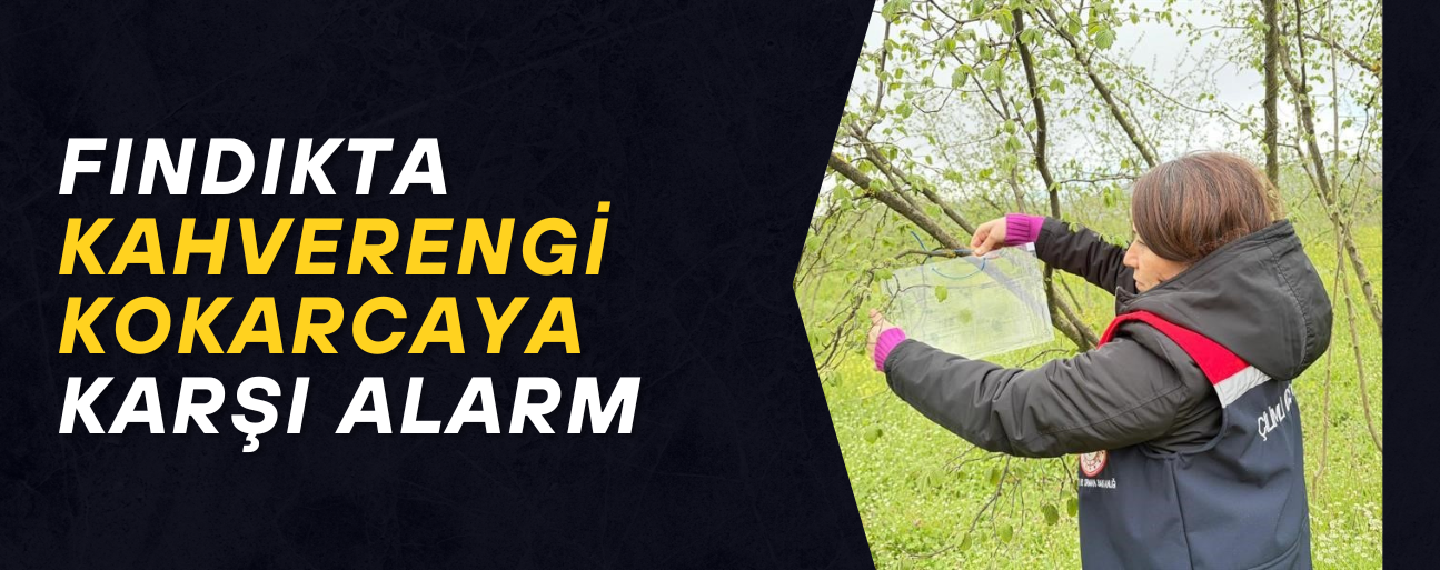 DÜZCE GENELİNDE POPÜLASYON TAKİBİ BAŞLADI