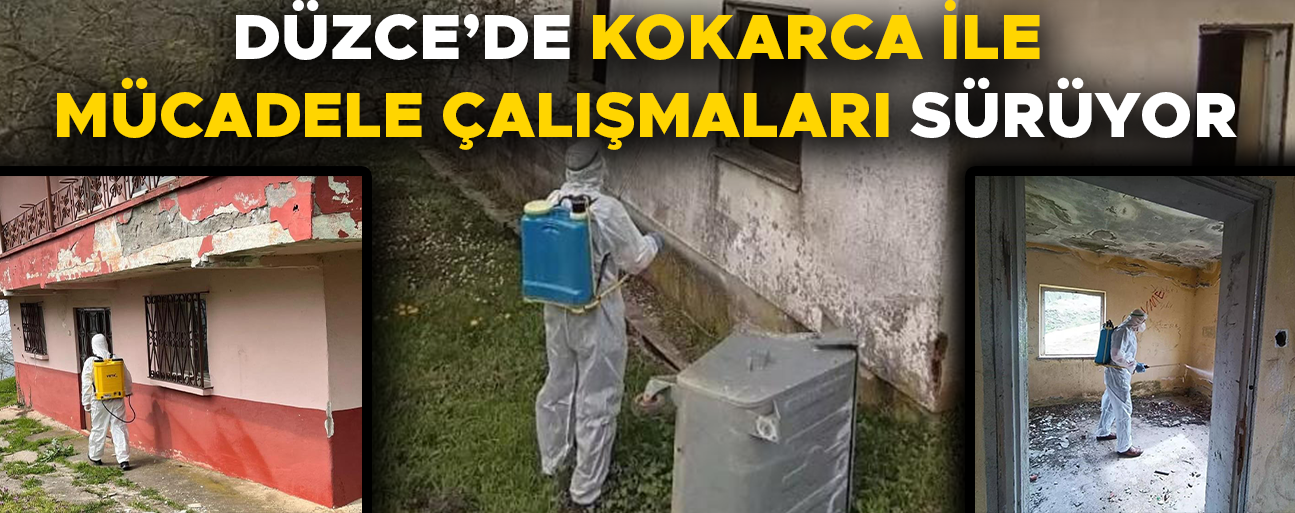 KIŞLAK ALANLARDA İLAÇLAMA ÇALIŞMASI YAPILDI