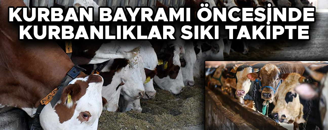 DÜZCE’DE KESİM ALANLARI VE HAYVAN PAZARINDA ÖNLEMLER ARTTIRILDI