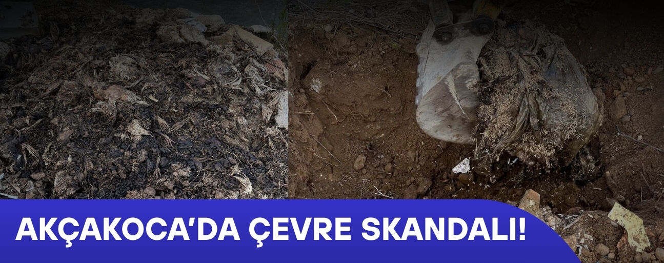 DERE KENARINA DÖKÜLEN TELEF OLMUŞ TAVUKLAR TEPKİLERİN ARDINDAN TOPRAĞA GÖMÜLDÜ