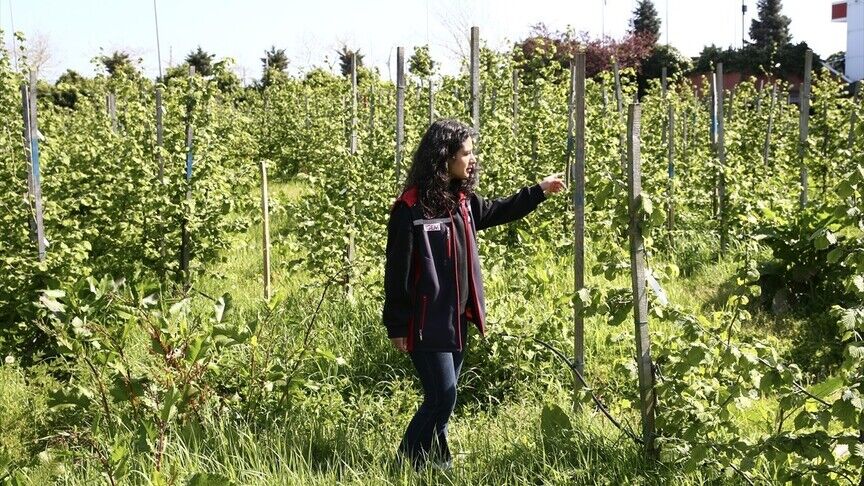 Thumbs B C 144B1D4A29B32616Ccefc120D790Fc68