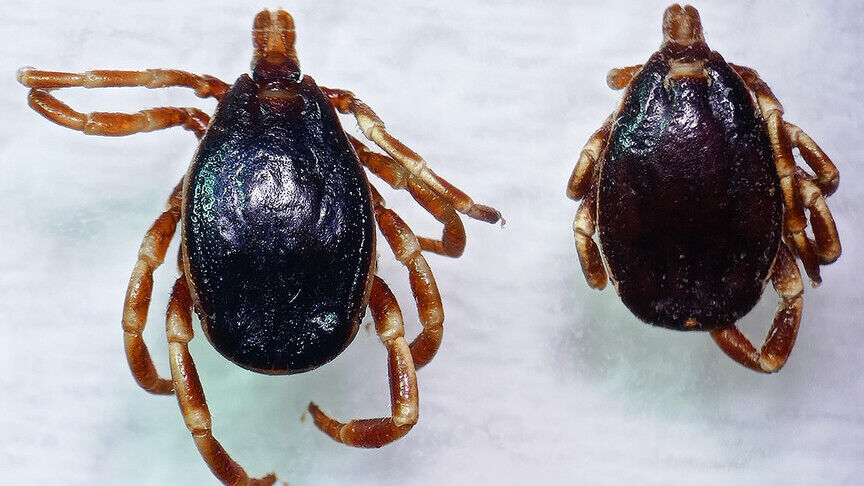 Thumbs B C 757897D7A999C71A4143Ffa1Aec85A5B