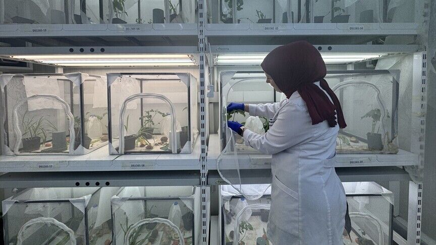 Thumbs B C Ca377Aef7044C4698E5697Ddf9F5E934