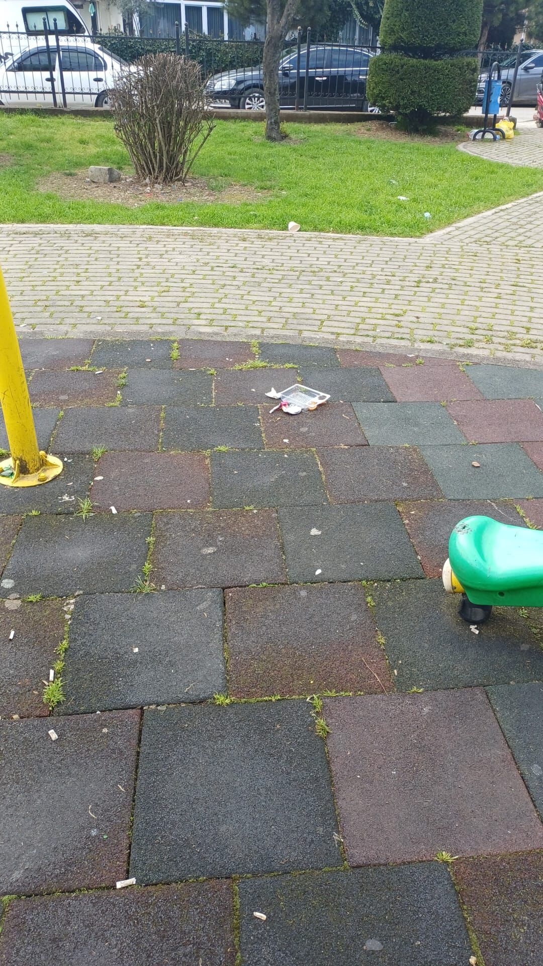 Whatsapp Image 2026 04 08 At 11.28.14 (1)