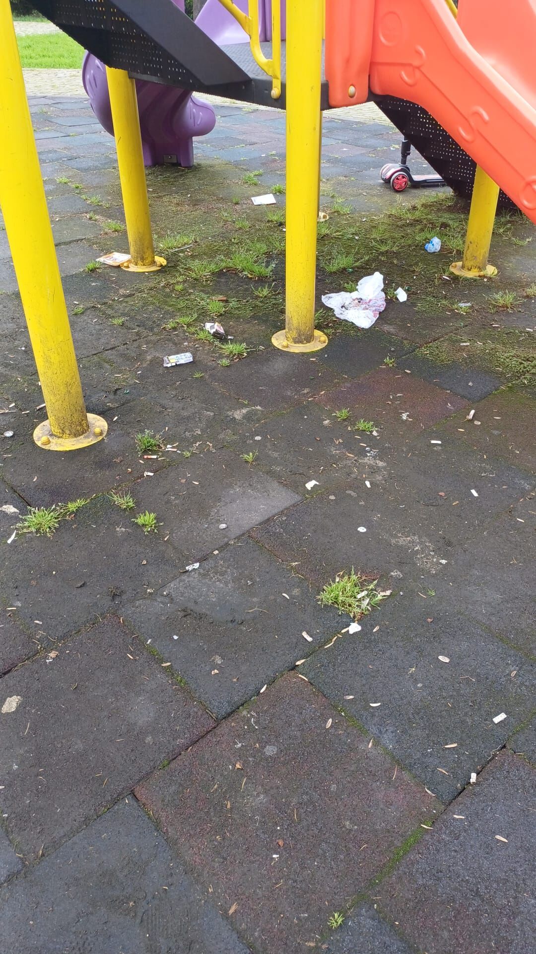 Whatsapp Image 2026 04 08 At 11.28.14