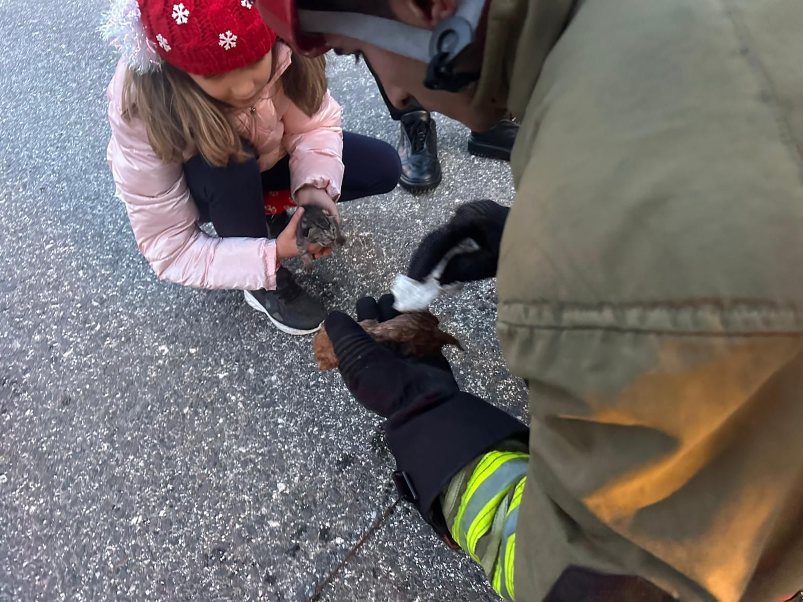 Whatsapp Image 2026 04 11 At 20.56.52 (1)