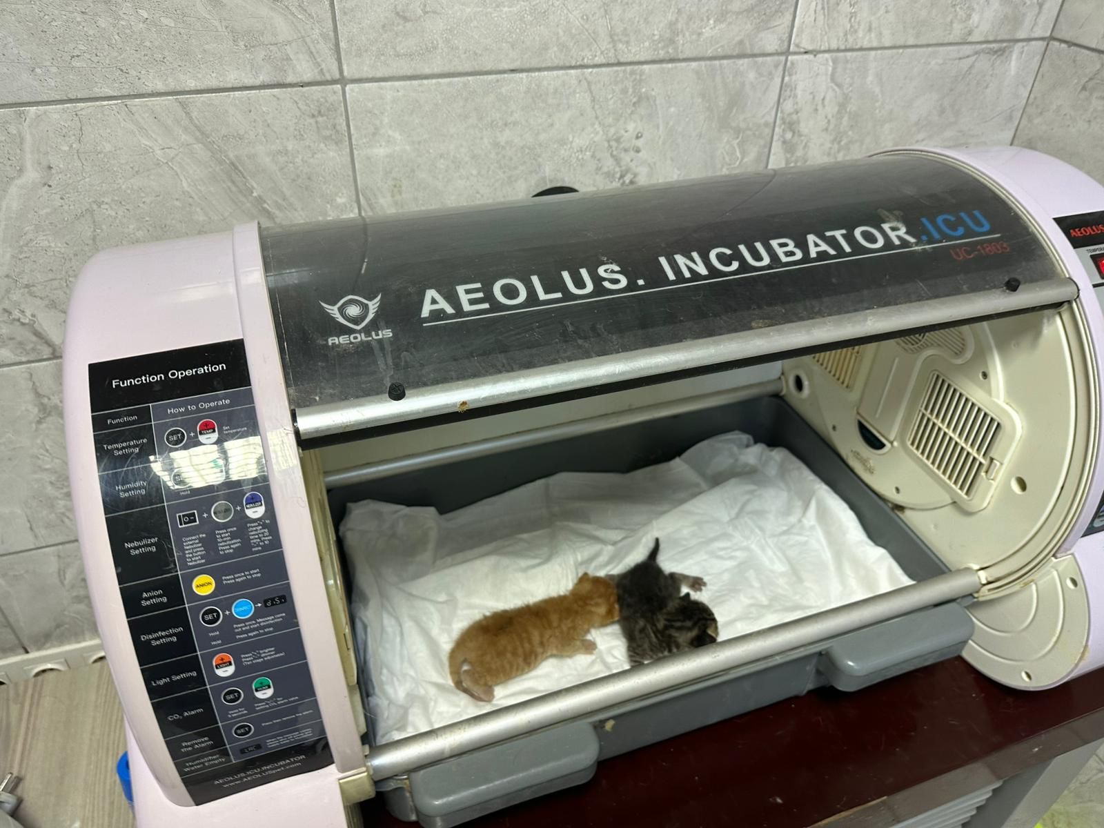 Whatsapp Image 2026 04 11 At 20.56.52