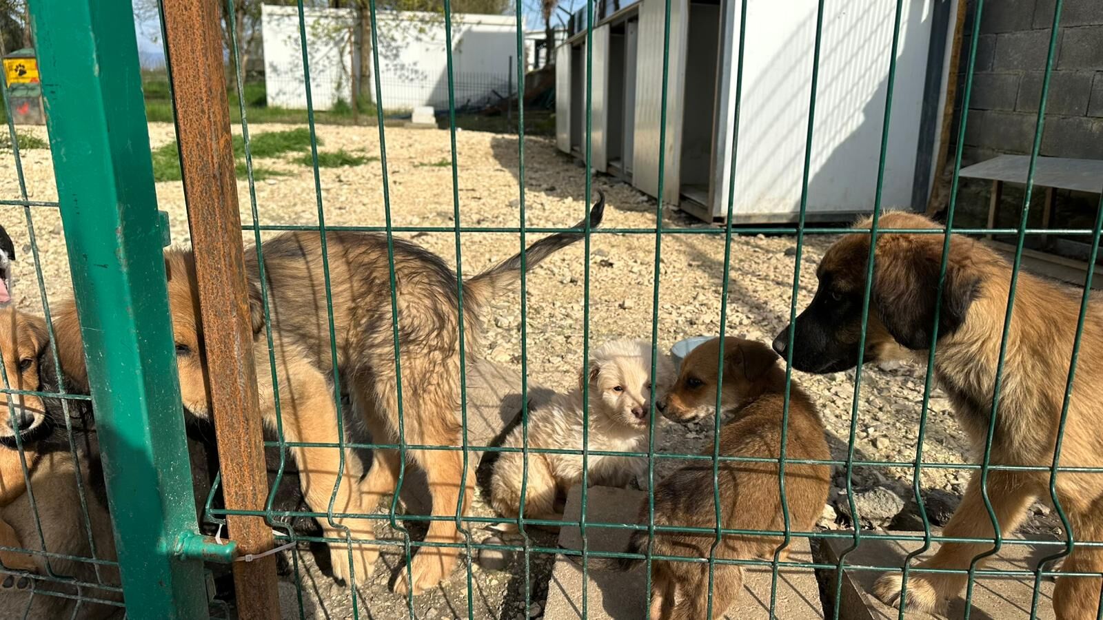 Whatsapp Image 2026 04 13 At 17.22.55