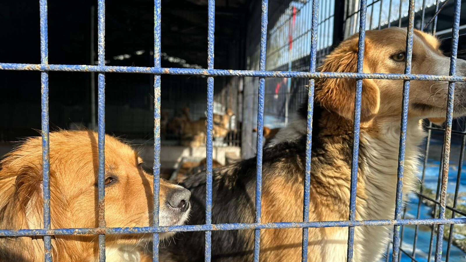 Whatsapp Image 2026 04 13 At 17.22.57 (1)