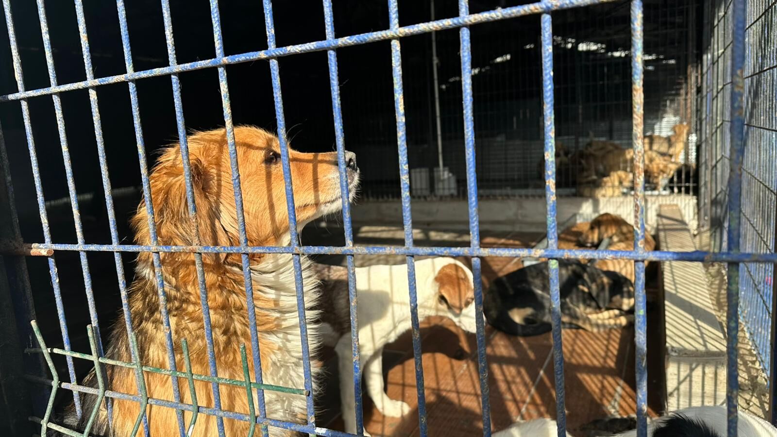 Whatsapp Image 2026 04 13 At 17.22.57 (2)