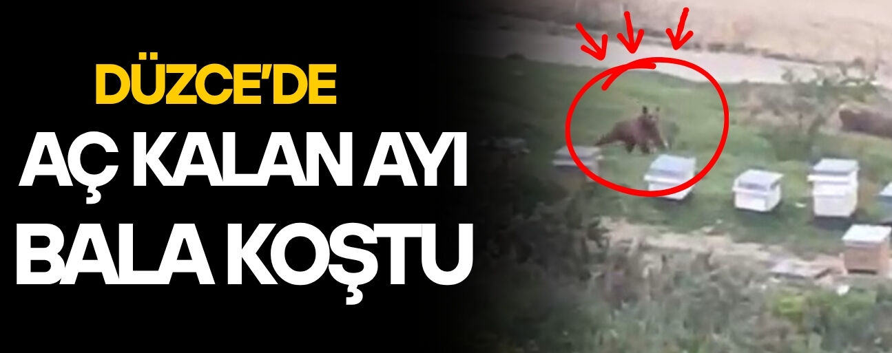 KORKU VE HEYECAN ANLARI KAMERADA