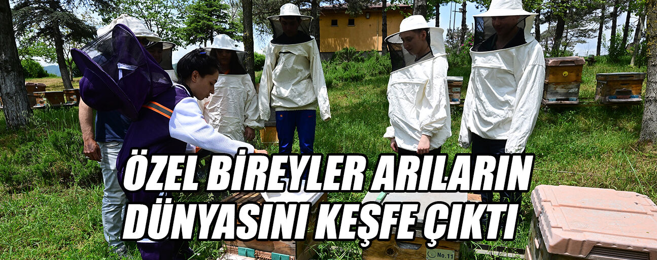 DÜNYA ARI GÜNÜ İÇİN FARKINDALIK ETKİNLİĞİ DÜZENLENDİ