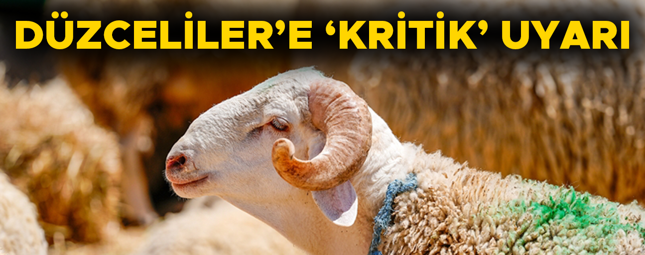 HAYVANLARDAN İNSANLARA BULAŞIYOR