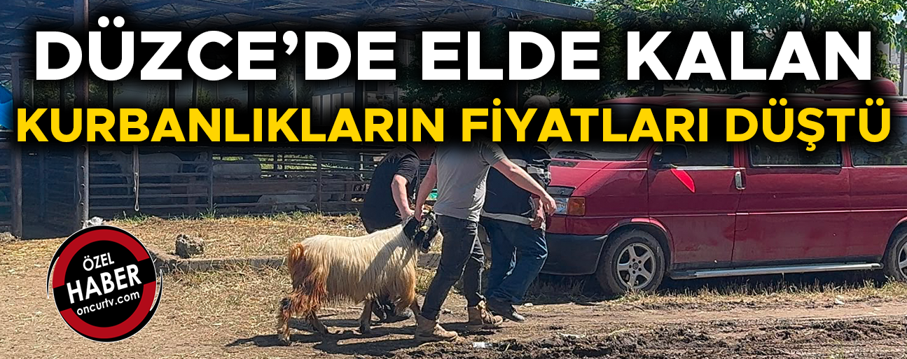 KURBAN PAZARINDAKİ HAREKETLİLİK BUGÜN DE SÜRDÜ