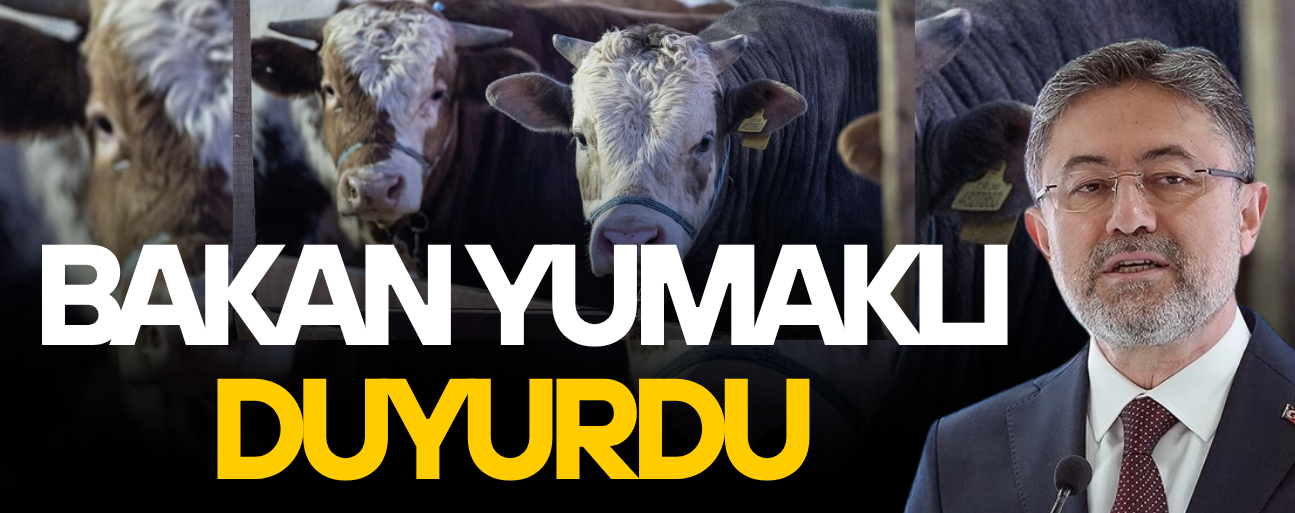 ELDE KALAN KURBANLIKLAR ET VE SÜT KURUMU TARAFINDAN SATIN ALINACAK