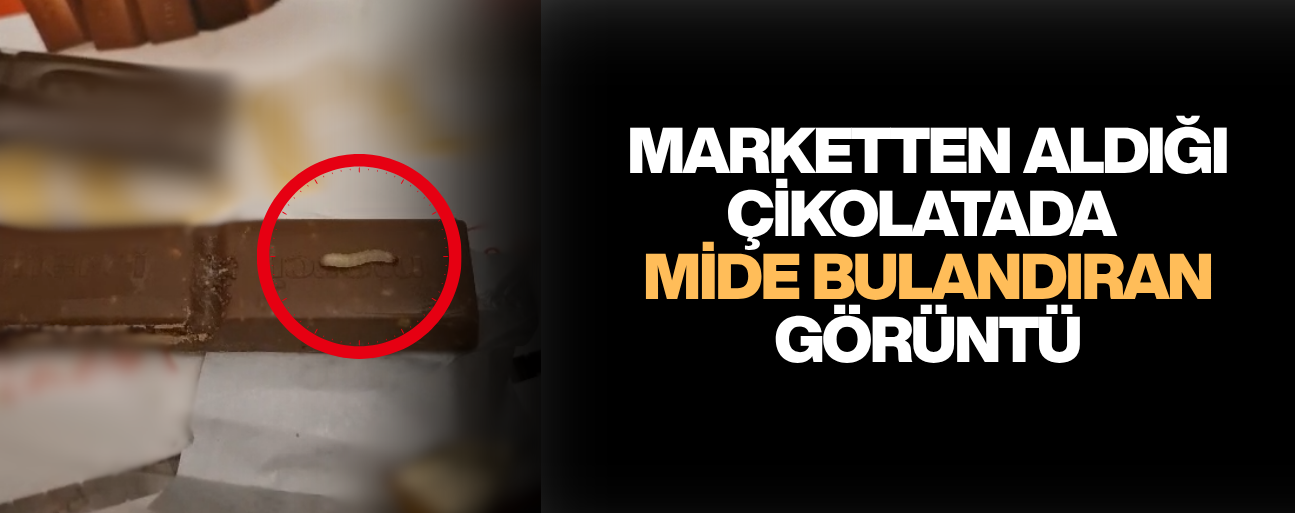 CANLI KURTLARI GÖRÜNCE NE YAPACAĞINI ŞAŞIRDI