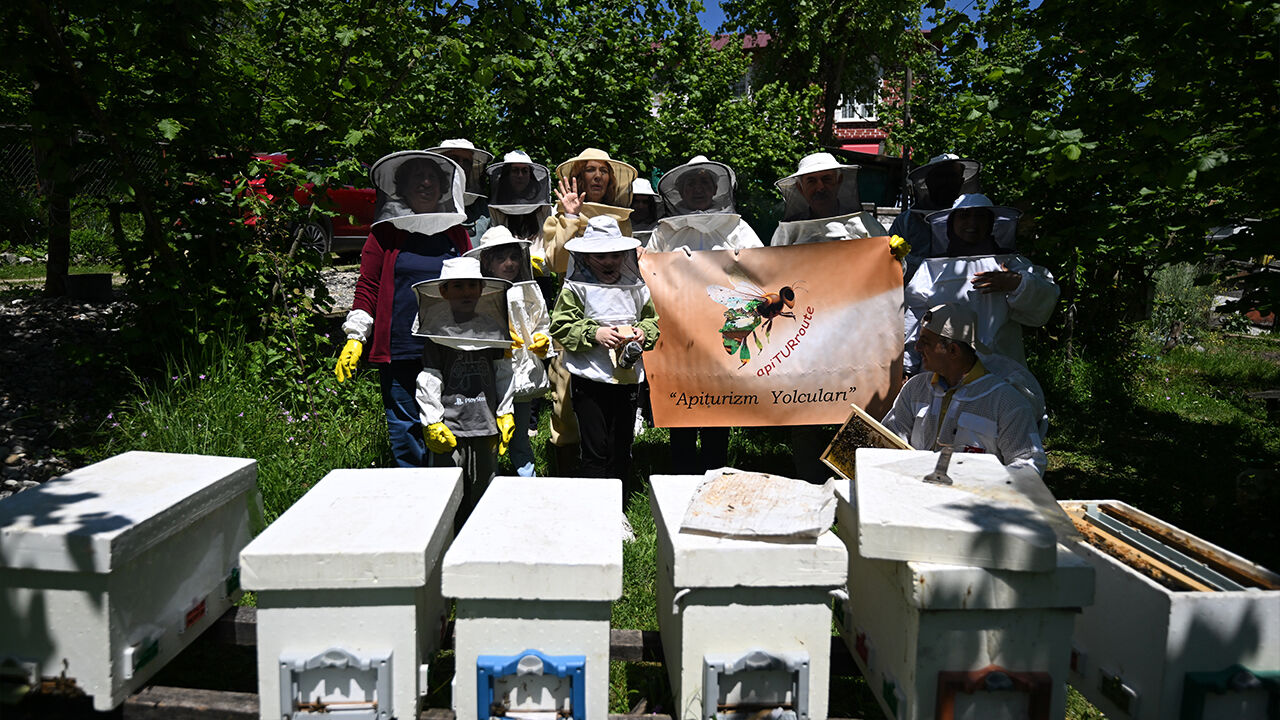 3-15