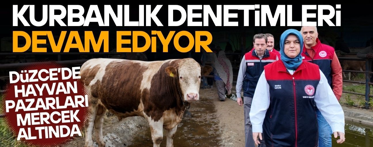 DÜZCE GİRİŞ VE ÇIKIŞINDA HAYVAN NAKİLLERİ DE İNCELENİYOR