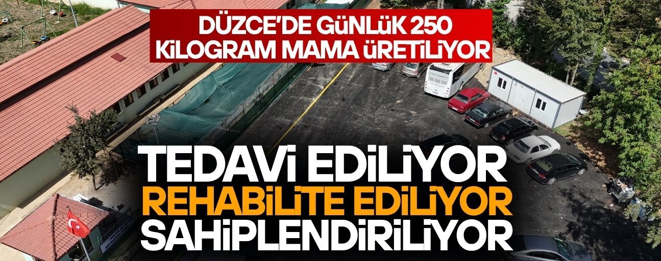 DÜZCE BELEDİYESİ’NDEN SAHİPSİZ HAYVANLARA TAM DESTEK
