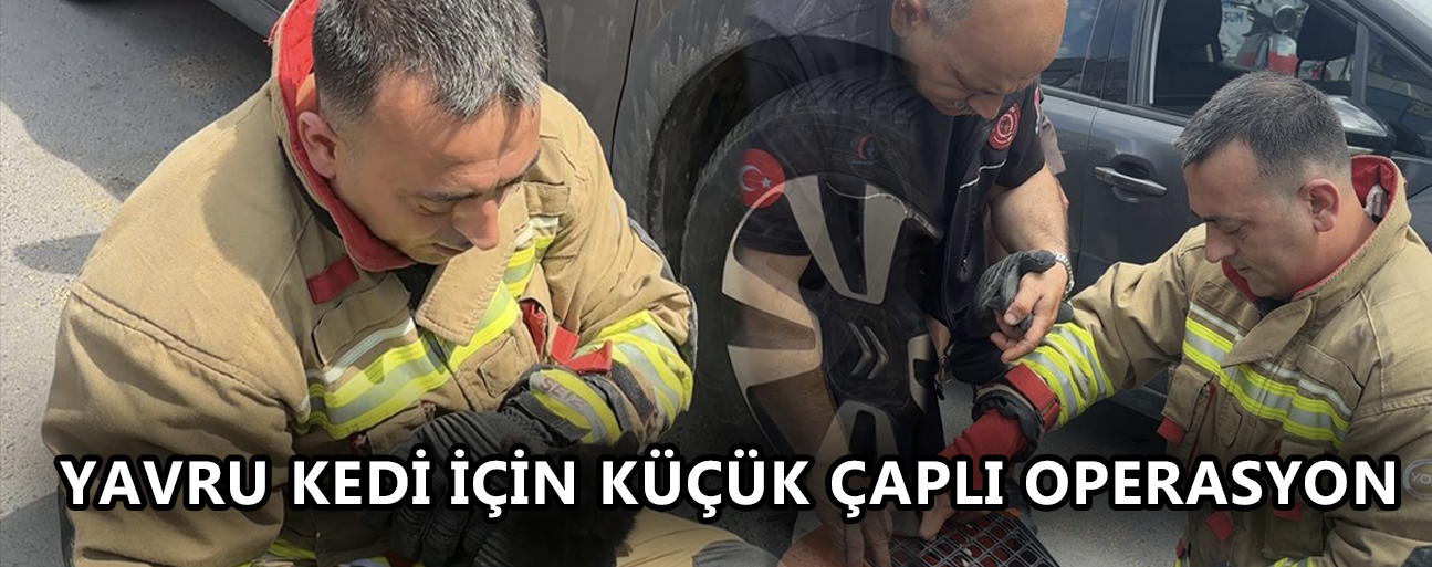 SÜRÜCÜNÜN DİKKATİ BİR CAN KURTARDI