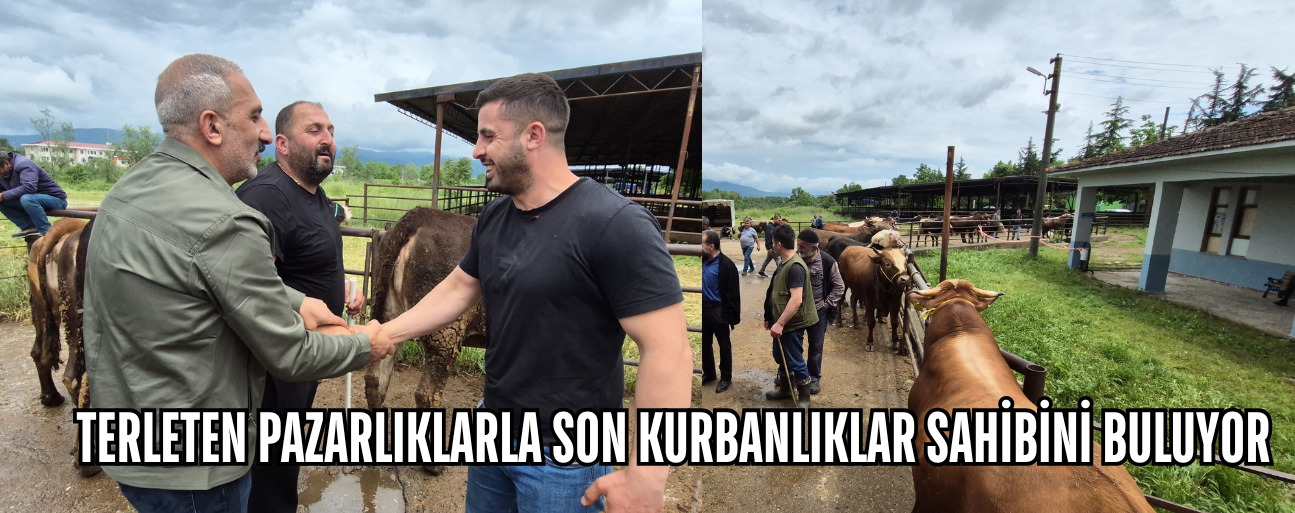 HAYVAN PAZARINDA SON GÜNLER