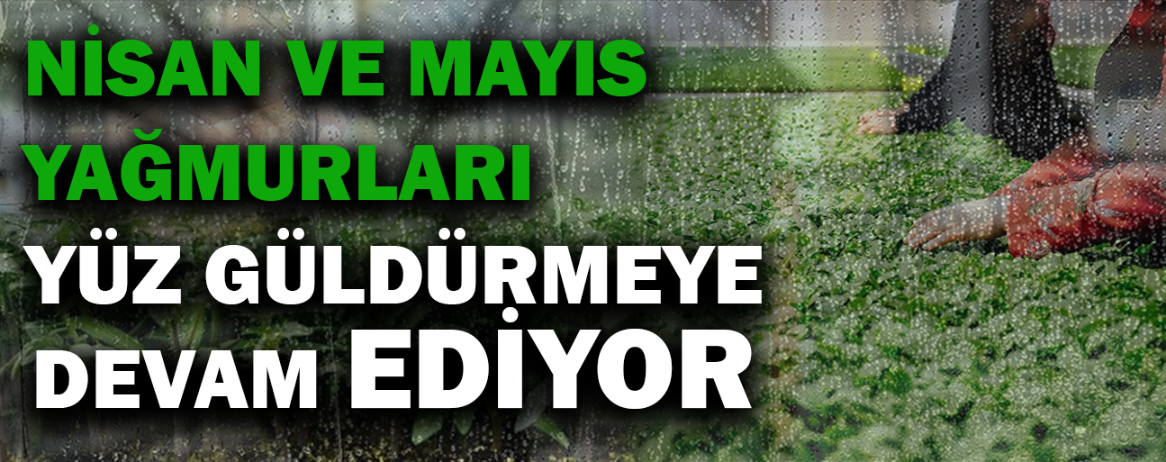 YAĞIŞ ORANLARI KURAKLIĞIN ÖNÜNE GEÇİYOR