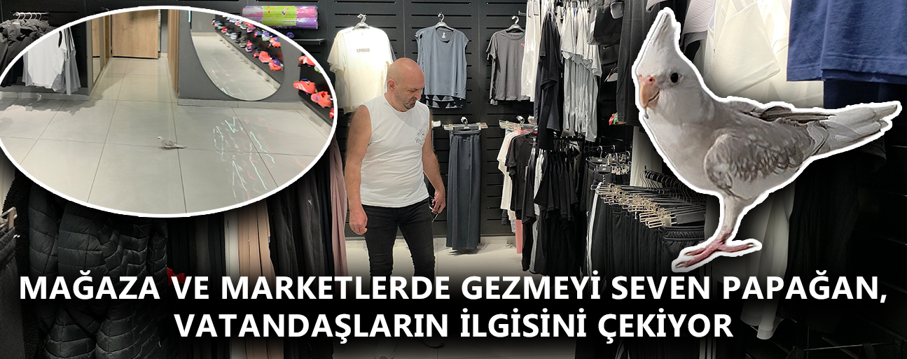 DÜZCE’DE PAPAĞANIN ALIŞVERİŞ KEYFİ