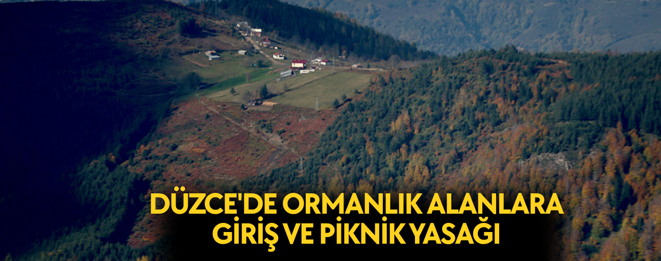ANIZ VE BENZERİ BİTKİ ÖRTÜSÜ YAKMAK YASAKLANDI