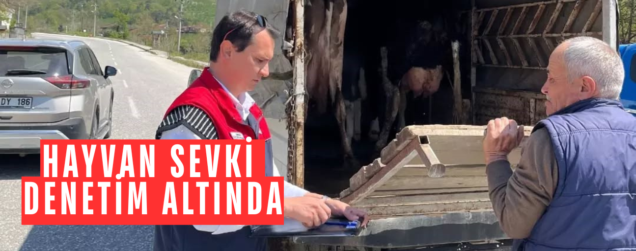 BELGESİZ HAYVAN TAŞIYAN ARAÇLARA İDARİ PARA CEZASI