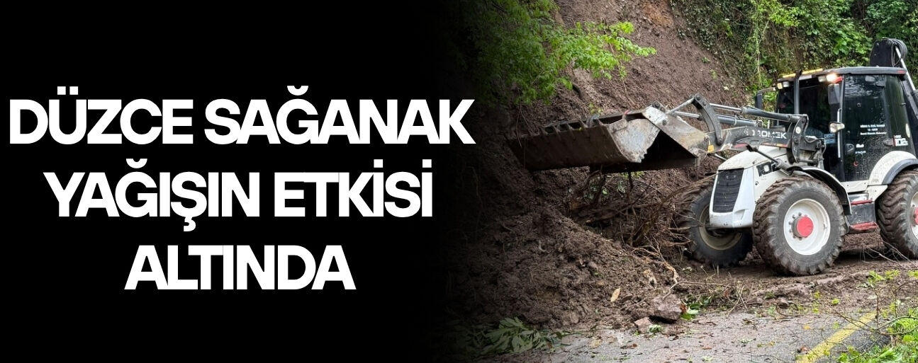 GÖLYAKA İLÇESİNDE 2 KÖY YOLUNDA TOPRAK KAYMASI