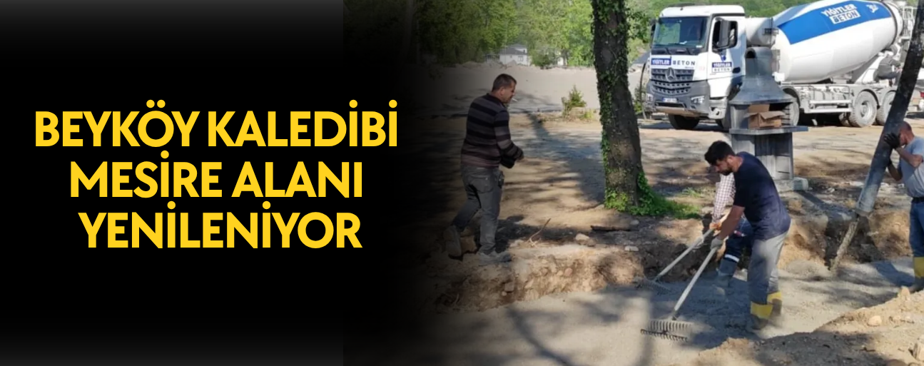 DOĞAL GÜZELLİĞİYLE DİKKAT ÇEKECEK