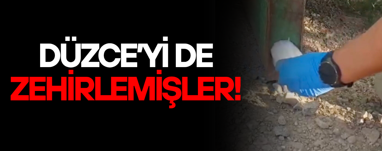 KONTEYNER ŞASESİNDEKİ AKIL ALMAZ UYUŞTURUCU DÜZENEĞİ DİKKAT ÇEKTİ