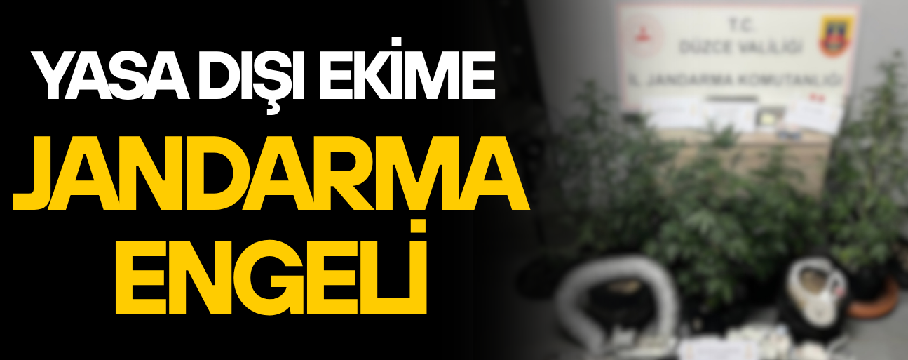DÜZCE’DE UYUŞTURUCU OPERASYONU:1 ŞÜPHELİ GÖZALTINDA