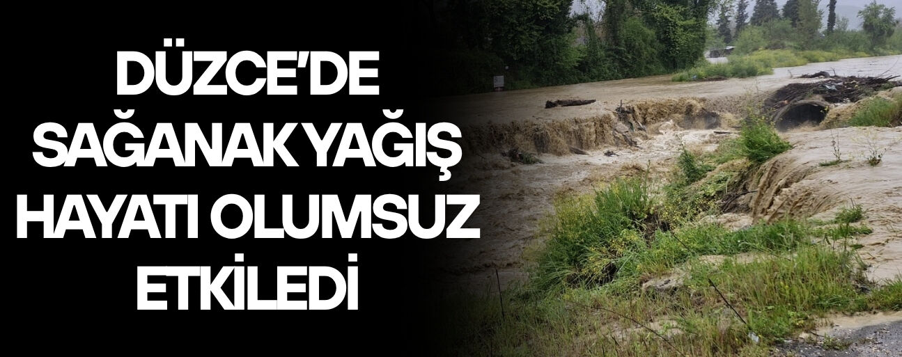 KONURALP’TE HIRÇIN SULARA DAYANAMAYAN KÖPRÜ YIKILDI