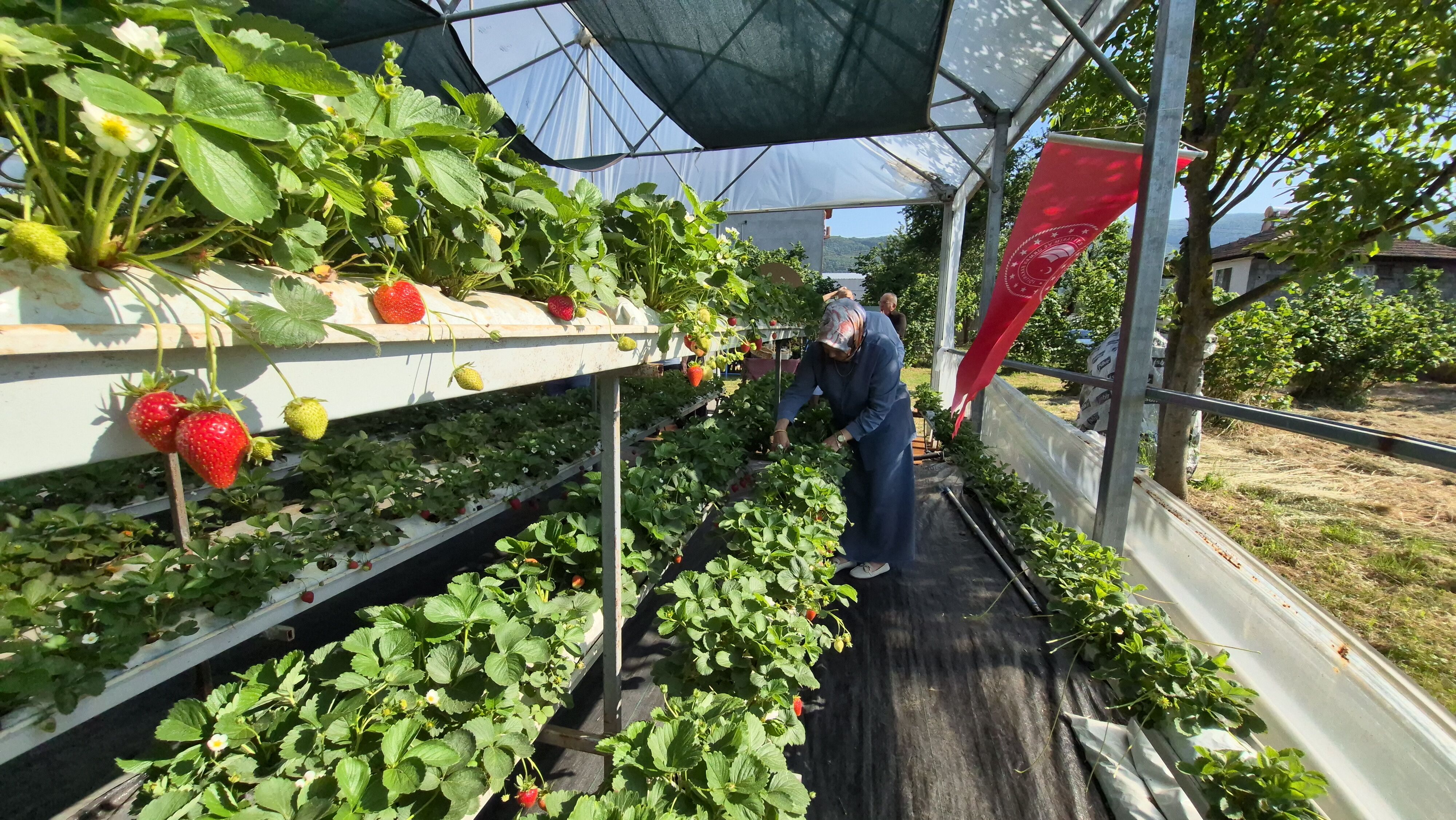 20260611 165520