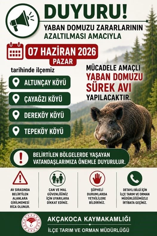 A W719386 01