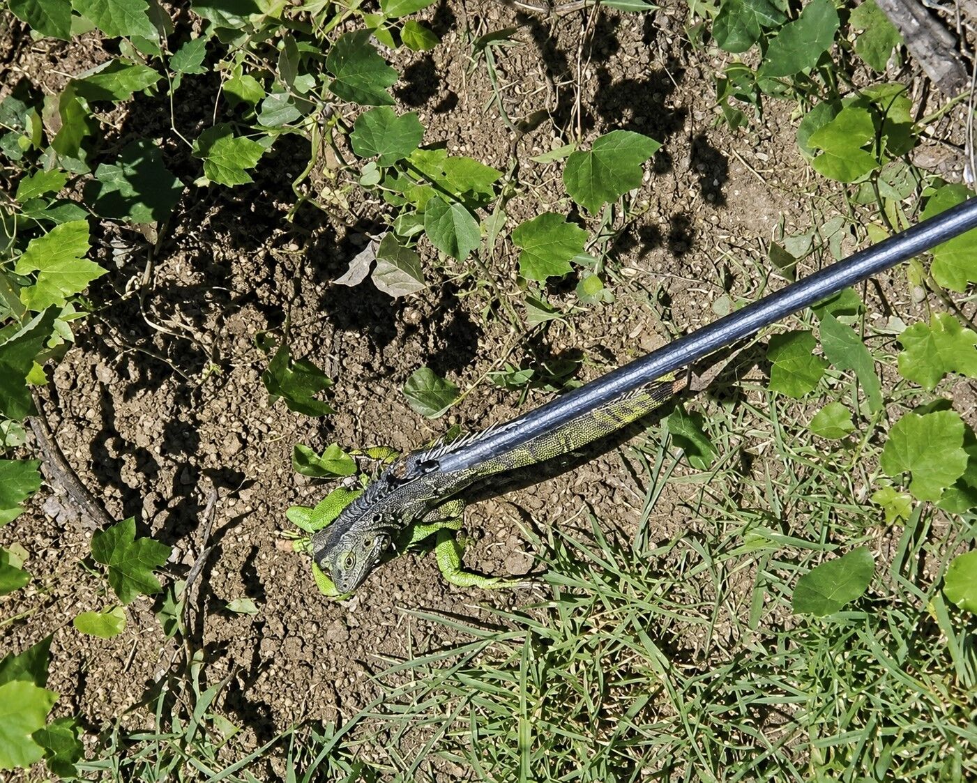 A W732794 03