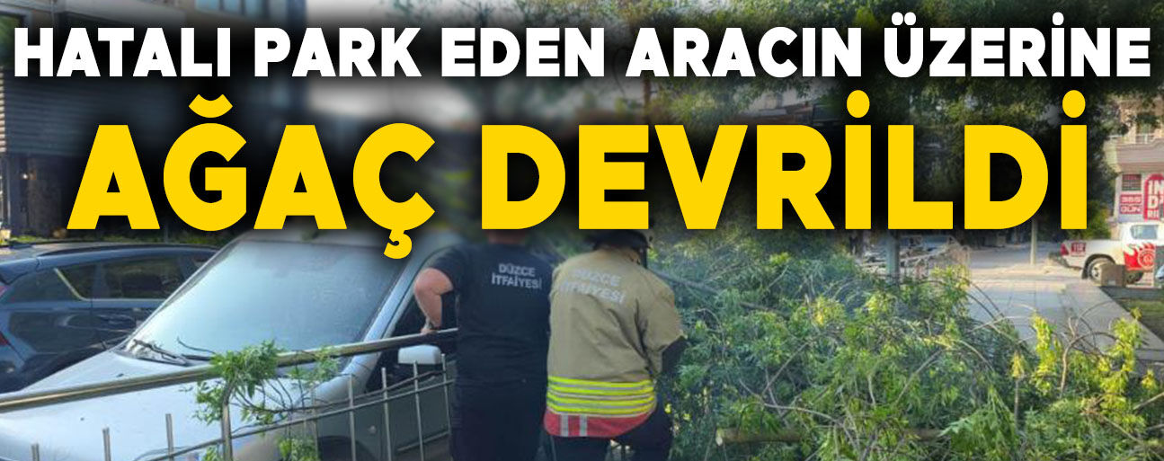ARACI HEM HASAR ALDI HEM DE CEZAYI YEDİ…