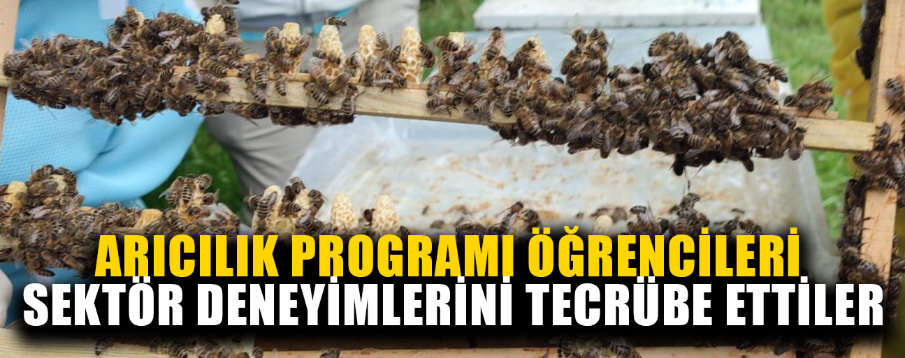 SEKTÖRDEKİ GÜNCEL UYGULAMALAR HAKKINDA BİLGİ EDİNDİLER