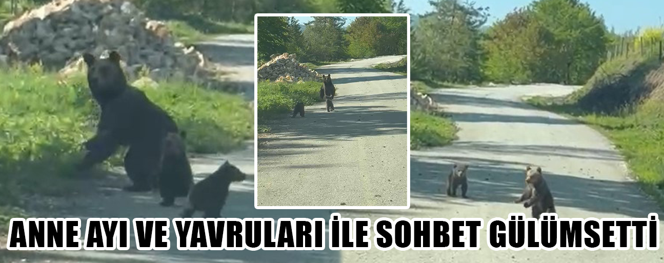 2 KARDEŞ AYILARA SESLENDİ
