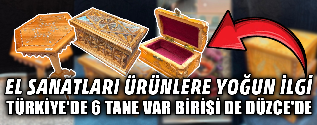 DÜZCE'Yİ EL EMEĞİ ÜRÜNLERLE ANKARA'DA TEMSİL ETTİLER
