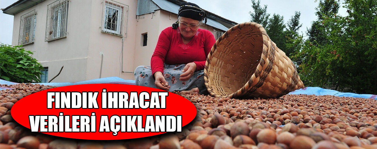 DÜZCE’DEN AB ÜLKELERİNE 5 BİN 291 TON FINDIK İHRAÇ EDİLDİ